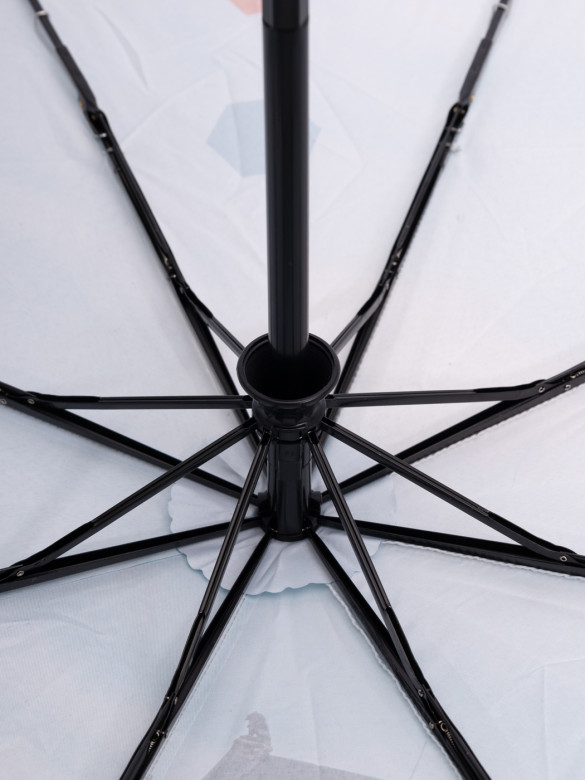 Зонт женский Три Слона 3845 (U) цветной