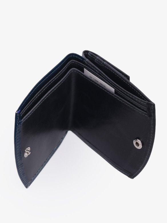 Портмоне женское Вектор ПЖ-832ft-1940/101 синее