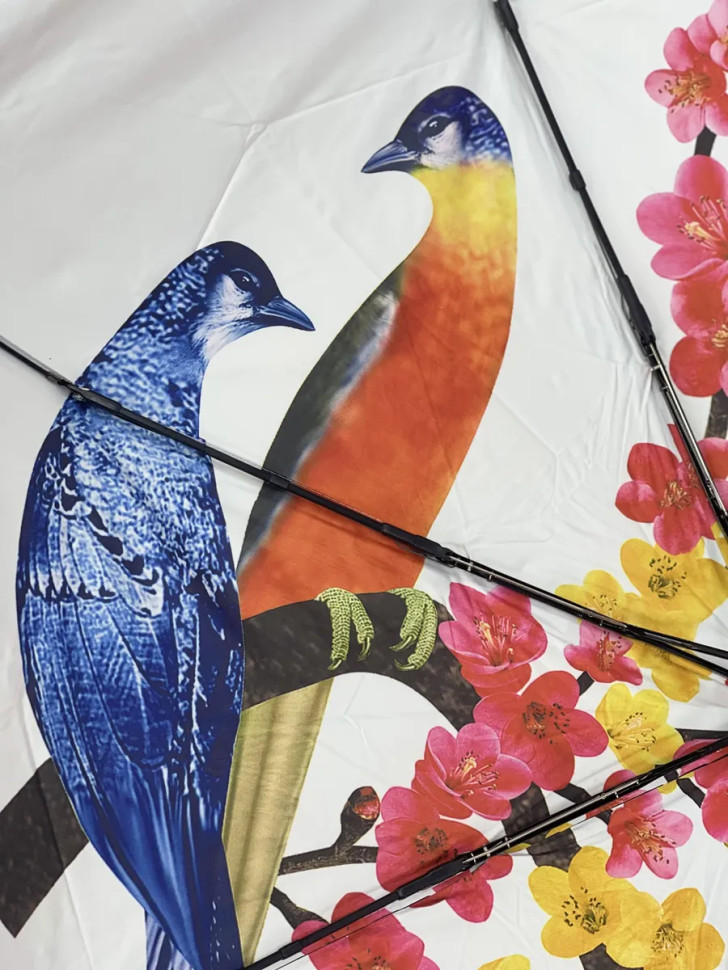 Зонт женский Arman Umbrella 555, полный автомат, чёрно-белый, двухсторонний