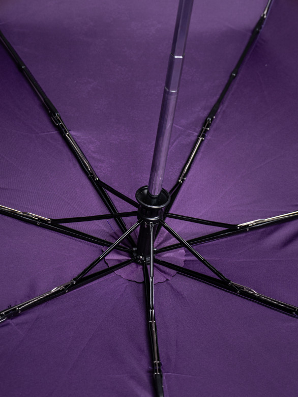 Зонт женский Три Слона с/а L3796(G) фиолет Зонт женский Три Слона с/а L3796(G) фиолет