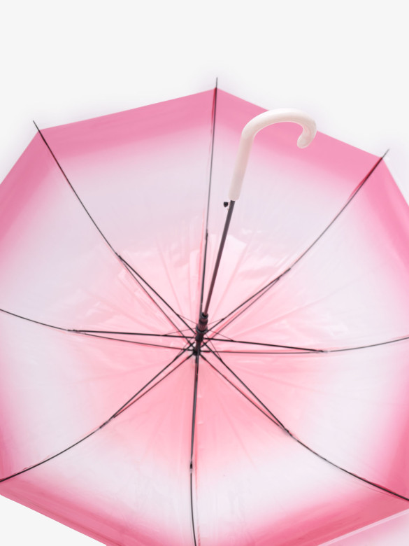 Зонт ТРОСТЬ женский 1601 Три Слона прозрачный красный/бордо