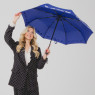 Зонт женский FLIORAJ, 21051 синий Зонт женский FLIORAJ, 21051 синий