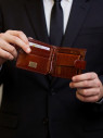 Портмоне мужское Cosset F14-327-089b коричневое