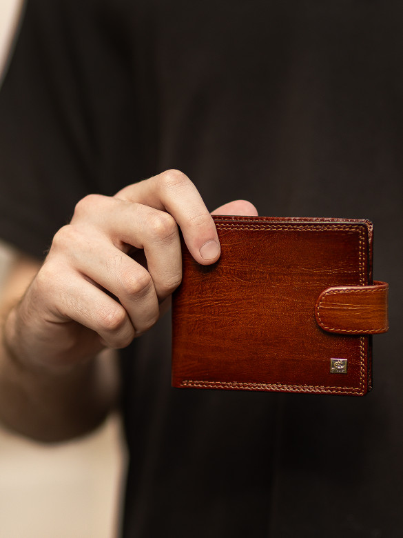 Портмоне мужское Cosset F14-327-516D коричневое