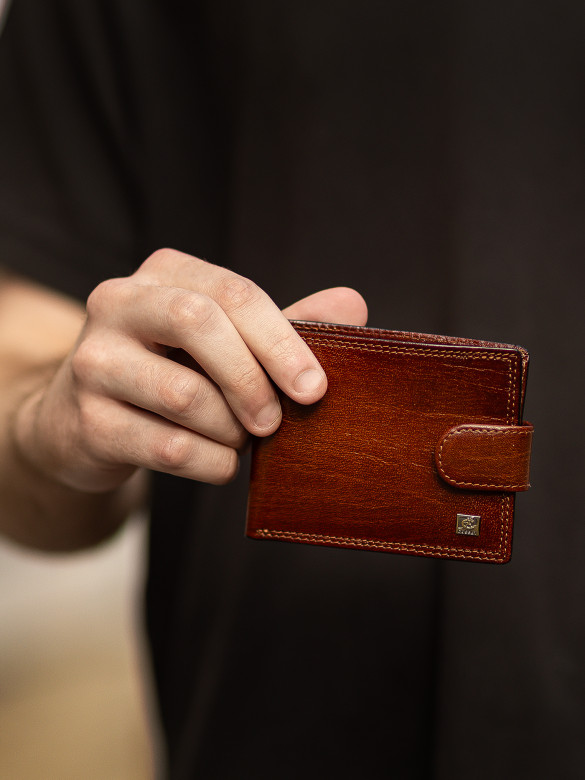 Портмоне мужское Cosset F14-327-1435B коричневое