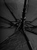 Зонт мужской Pasio 819 полуавтомат
