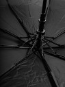 Зонт мужской Pasio 819 полуавтомат