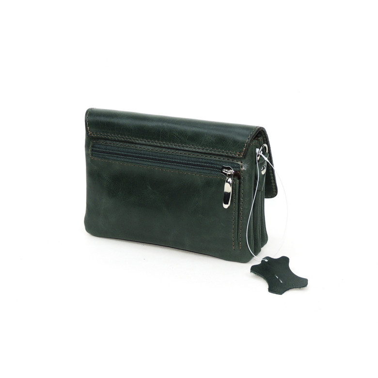 Женская сумочка кошелёк Natalia Kalinovskaya С53, «Ким» Птица зеленая